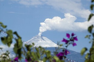 火山美景与烂漫紫色花卉