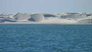 海边沙丘与碧蓝海水景观