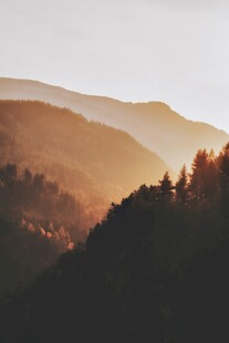 山间晨曦中的壮丽山林景色