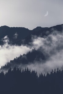 山间云雾缭绕的静谧景致