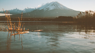 湖畔远山景芦苇映波光