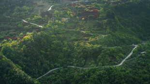 航拍山间蜿蜒公路美景