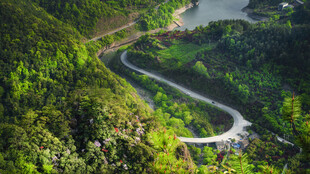 山间蜿蜒公路与葱郁植被