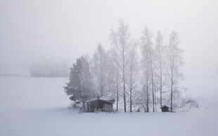 雪野中的静谧树木小屋