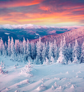 冬日雪林绚丽晚霞美景