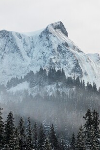 雪山森林间的朦胧美景