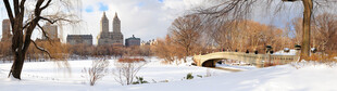 冬日雪景中的宁静户外景象