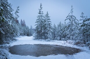 冬日雪林中小湖静谧之景