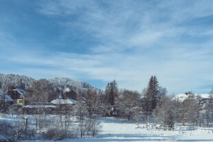 冬日雪景中的静谧村落