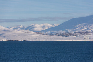 雪山大海