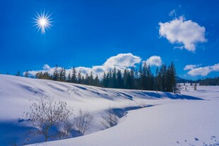 冬日雪域阳光美景