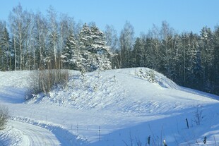 冬日雪景中的静谧山林