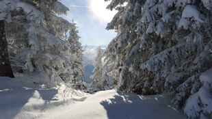 雪覆山林美景