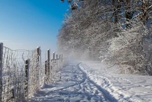 冬日雪中小径与围栏美景