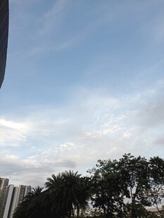 蓝天白云下的城市绿树景观