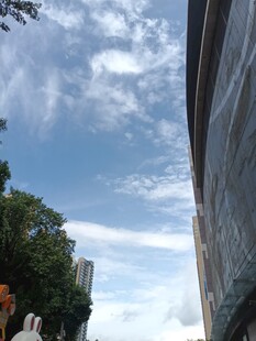 仰望天空下的建筑与绿树