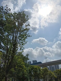 蓝天白云下的绿树与建筑