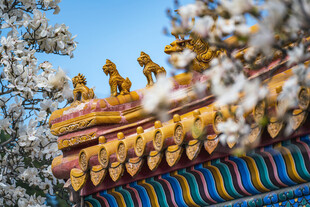 中式古建筑屋檐上的神兽