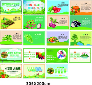 菜园围档