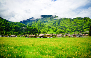 绿野青山