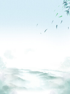 蓝天飞鸟与海浪的美景