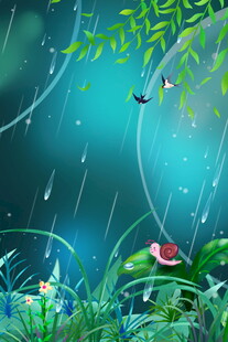雨中森林的生机景象