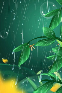 雨中绿叶与灵动蝴蝶