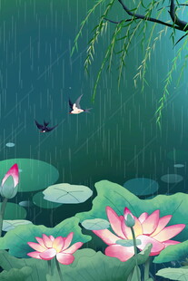 雨中荷塘美景