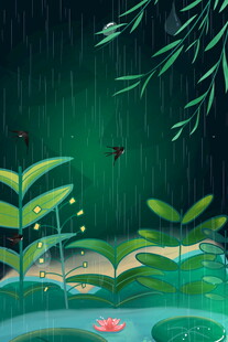 雨中荷塘的清新自然景象