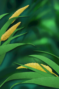 金黄穗状植物与绿叶特写