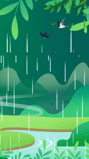 雨中绿意盎然的自然风景