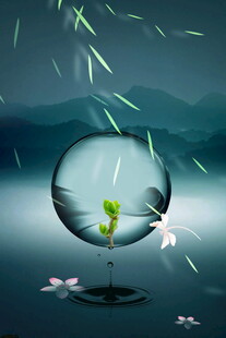 雨中玻璃球内的嫩绿幼苗
