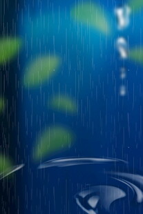 雨中雨滴绿植相伴
