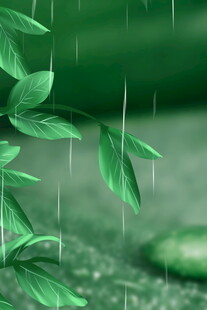 雨中绿叶清新自然之景