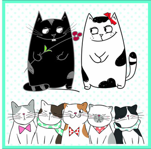 猫咪情侣与伙伴的温馨画面