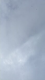 云层 光影效果 飞鸟