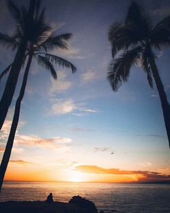 海边日落时的椰树美景