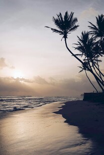 夕阳下的椰树海滩美景