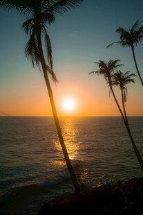海边日落与椰树美景