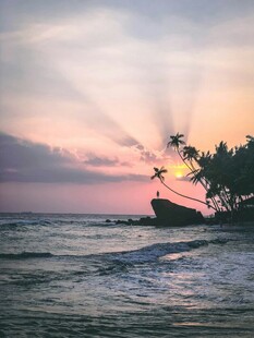 海边日落美景椰树映余晖