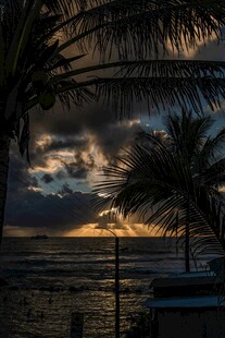 海边日落时的椰树美景