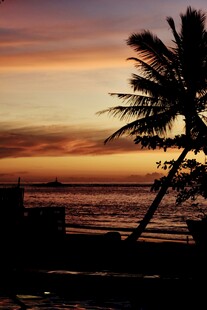 夕阳下的海边椰树美景