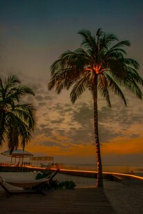 夕阳下的海滩与棕榈树