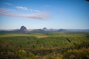 壮丽山峦下的葱郁森林