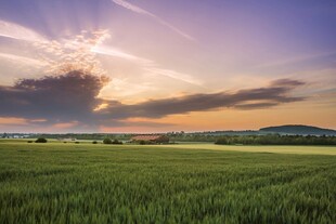 夕阳下的广袤绿色田野
