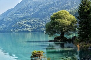 湖畔绿树青山美景