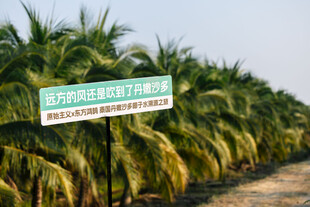 乡村路旁的指示标牌