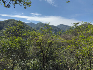 青山绿树间的秀丽山景