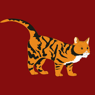 橘黑条纹猫矢量插画