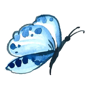 蓝色水彩风蝴蝶插画